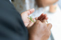 Natural Soapmaking & Agroecology Workshops