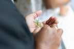 Natural Soapmaking & Agroecology Workshops