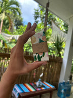 Mini Soap Favors