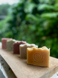 Family Soap Bundle